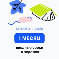 Литература с Лилией | ЕГЭ 2027